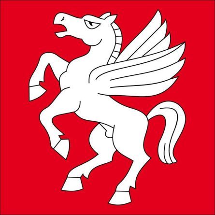 Bargen (BE) flag